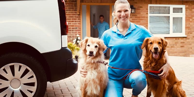 Business listing image