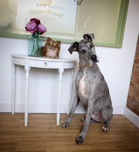 Business listing image