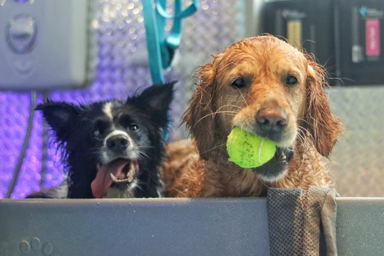 Business listing image