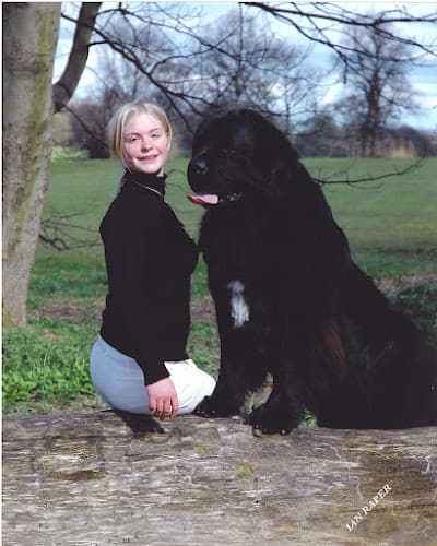 Business listing image