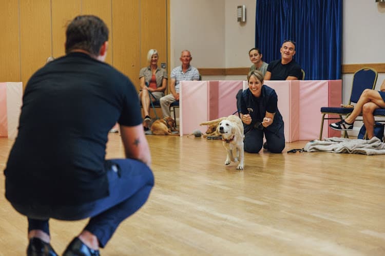 Business listing image