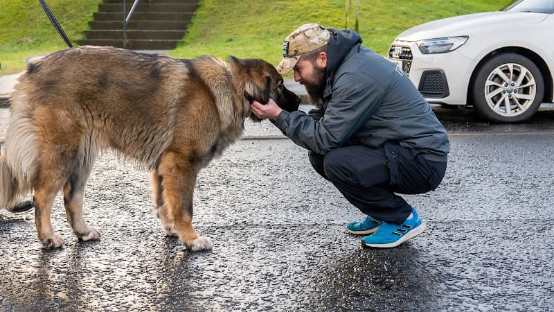 Business listing image