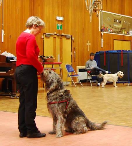 Business listing image