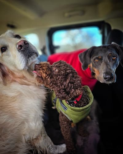 Business listing image