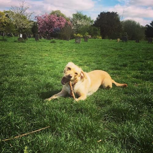 Business listing image