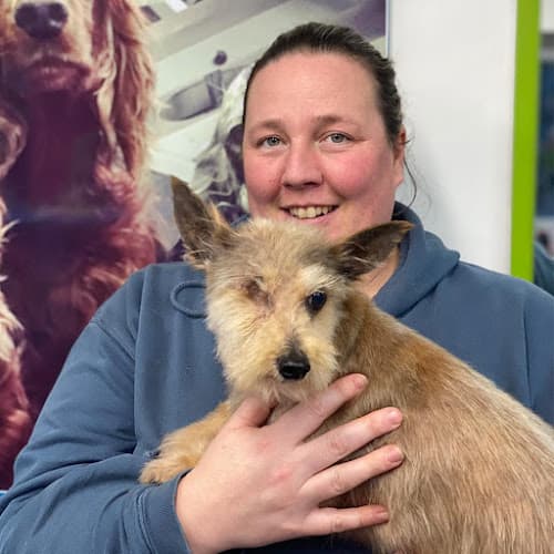 Business listing image