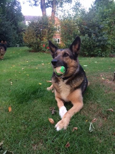 Business listing image