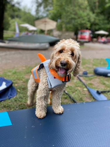 Business listing image