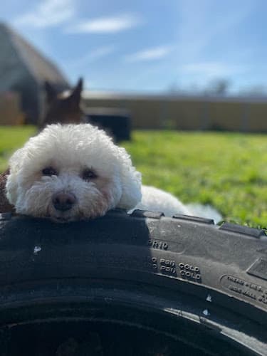 Business listing image