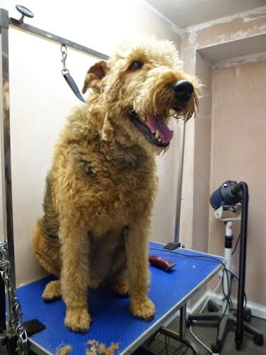 Business listing image