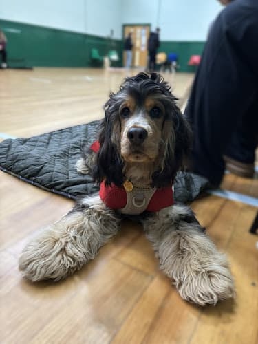 Business listing image