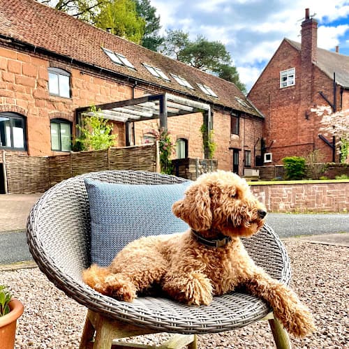 Business listing image