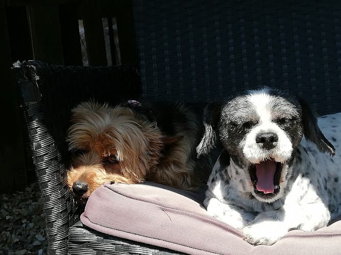 Business listing image