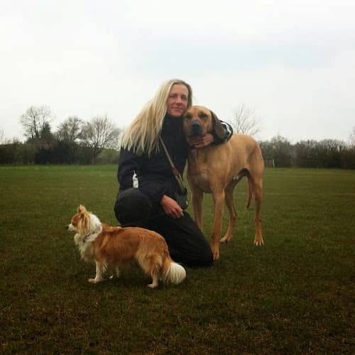 Business listing image