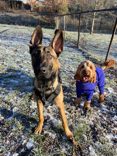 Business listing image