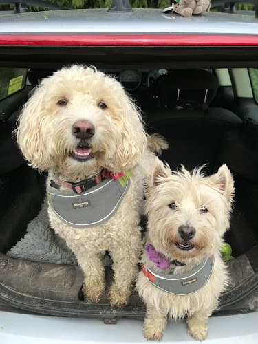 Business listing image