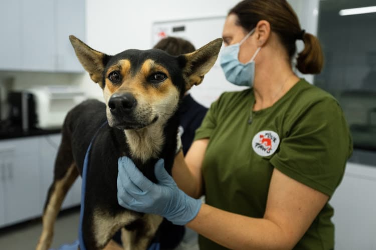 Business listing image