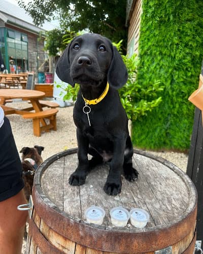 Business listing image