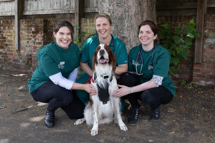 Business listing image