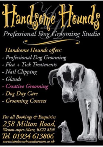 Business listing image