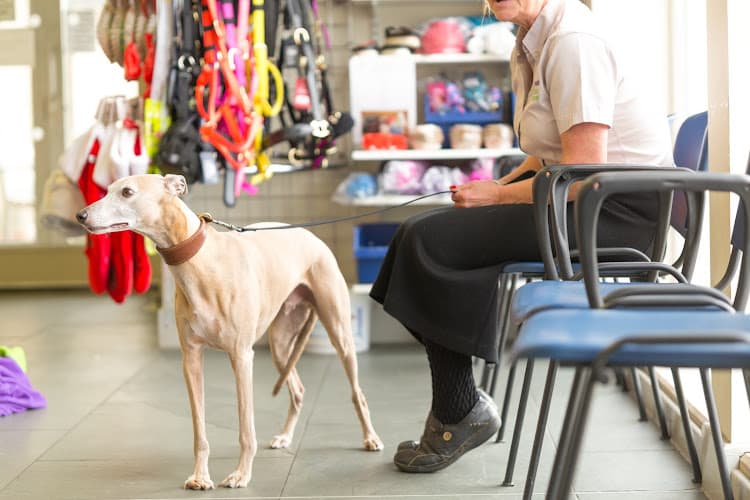 Business listing image