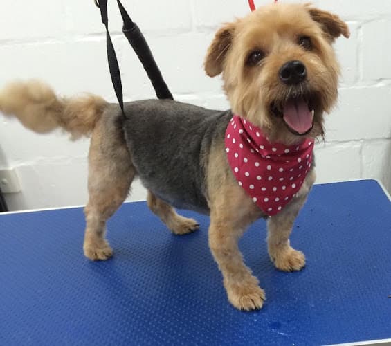 Business listing image