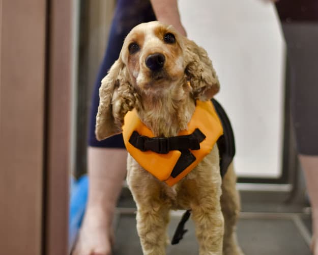 Business listing image