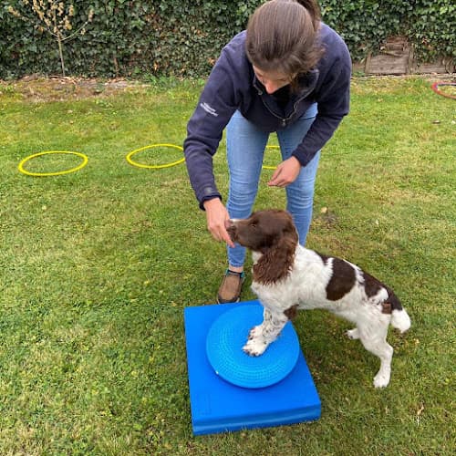 Business listing image