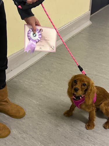 Business listing image