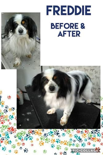 Business listing image