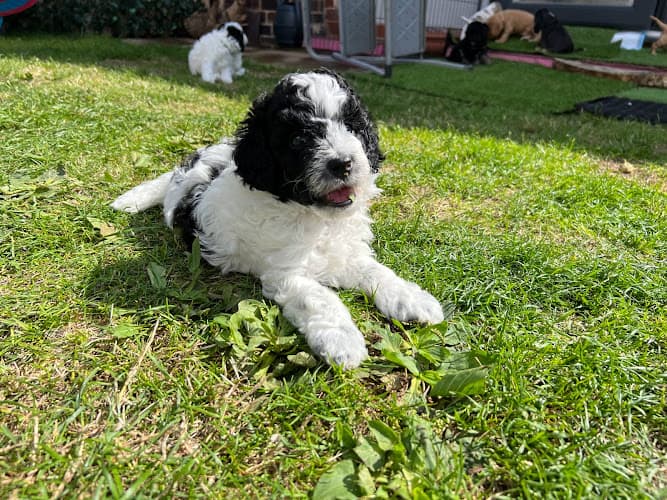 Business listing image