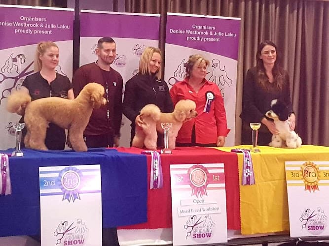 Business listing image