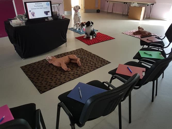 Business listing image