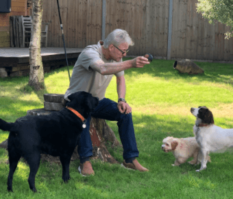 Business listing image