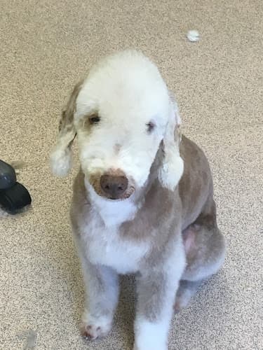 Business listing image