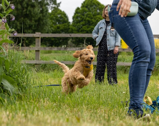 Business listing image