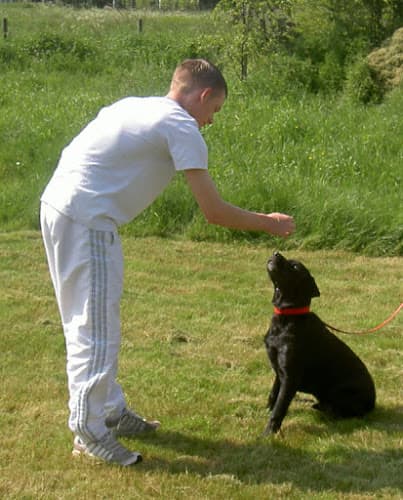 Business listing image