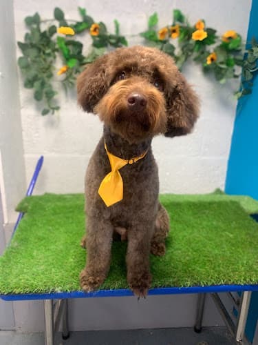 Business listing image