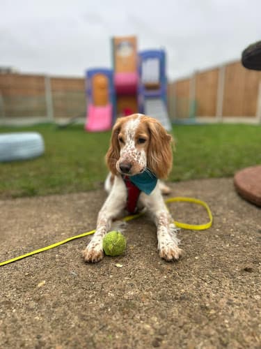 Business listing image