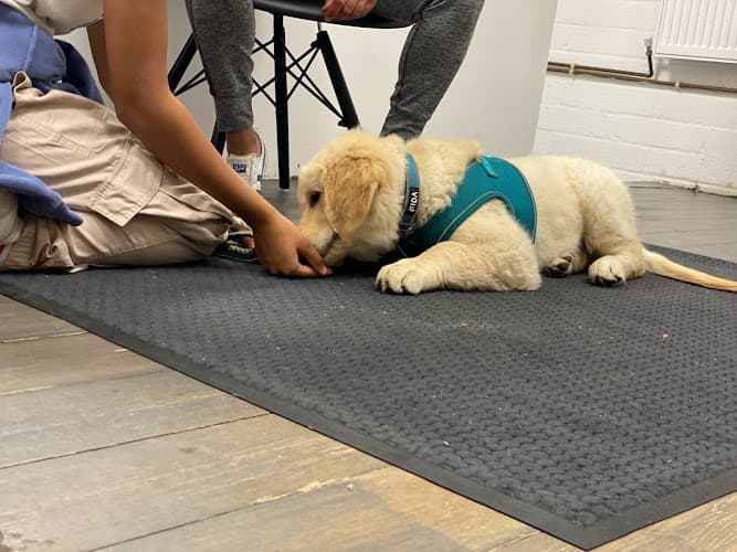 Business listing image