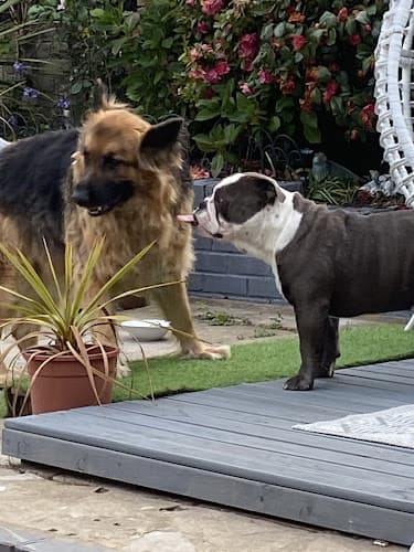 Business listing image