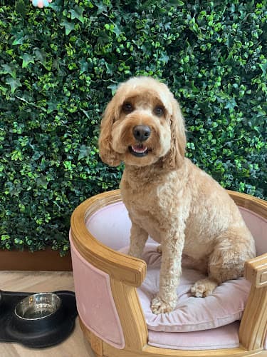 Business listing image