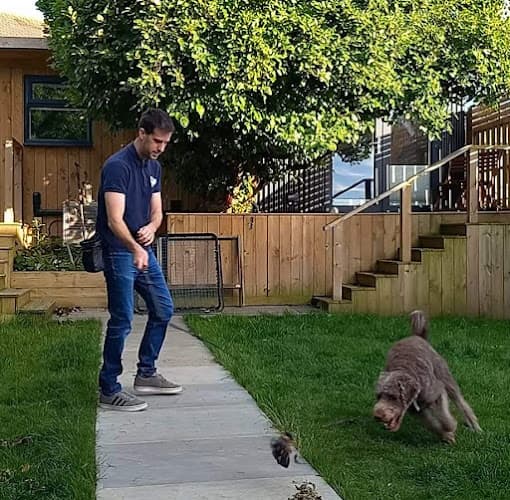 Business listing image