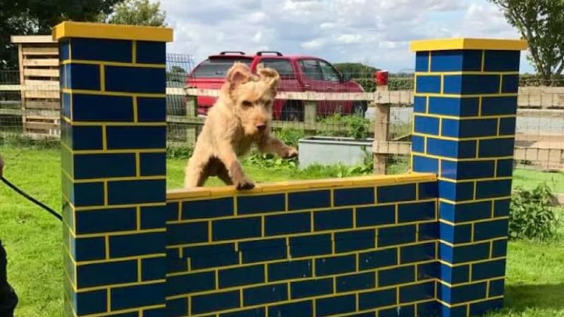 Business listing image