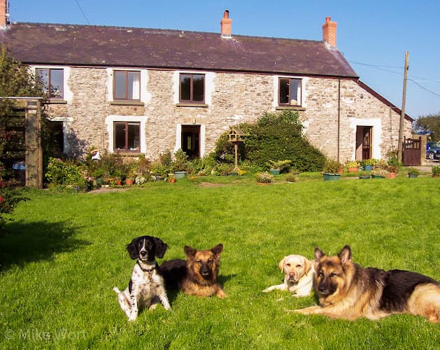 Business listing image