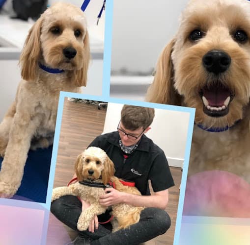 Business listing image