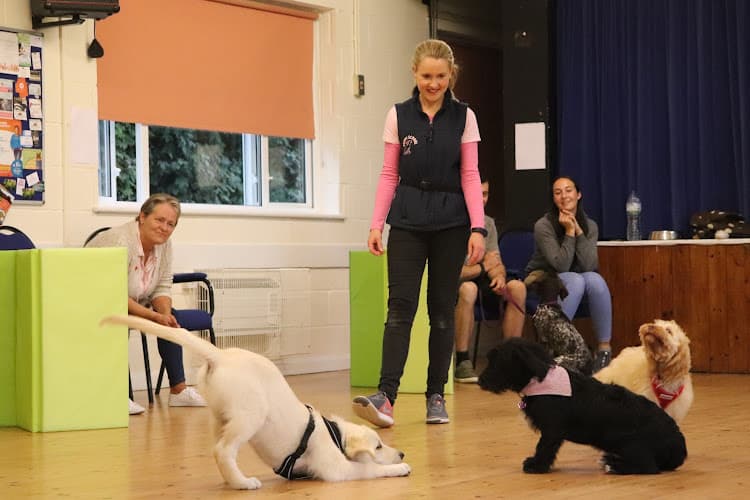 Business listing image