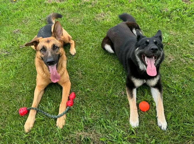 Business listing image