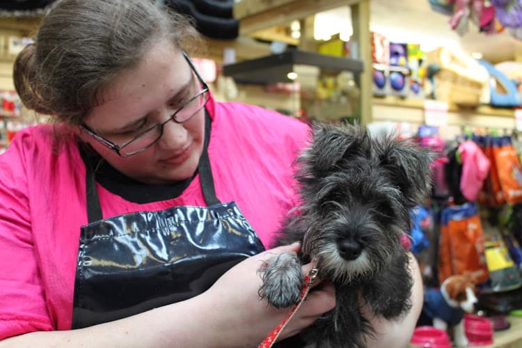 Business listing image