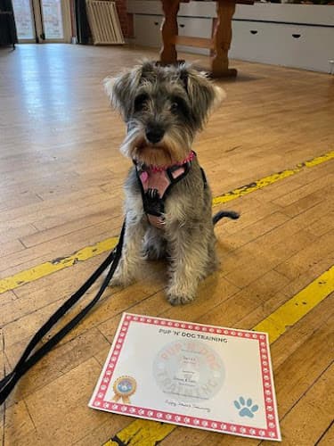 Business listing image